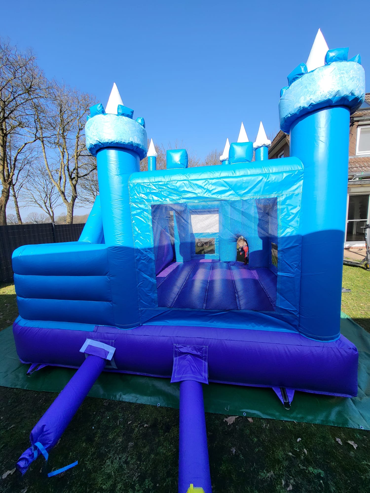 Eiskönigin Hüpfburg  - Hüpfburg Hamburg | Hansehüpfer - Vorschaubild 3